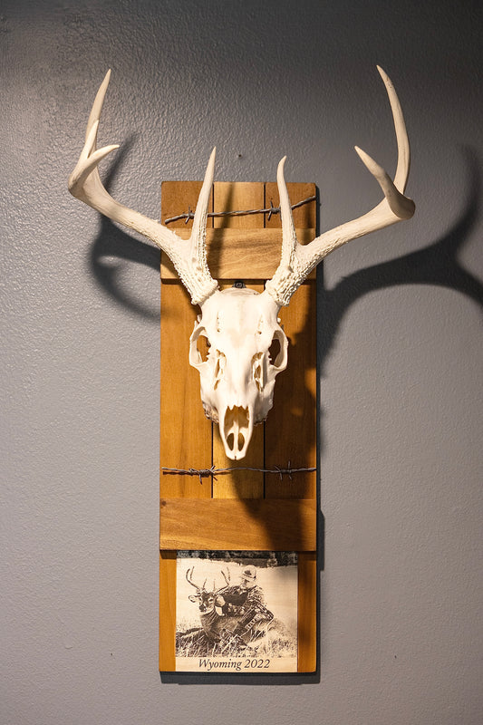 Custom Euro Laser Burned Wire Fence Euro Display With Barb Wire And Easy Skull Hanger